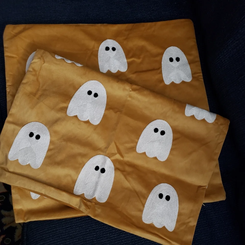 Halloween Themed Pillow Covers